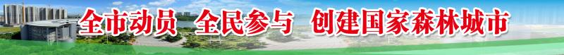 創(chuàng)建國家森林城市