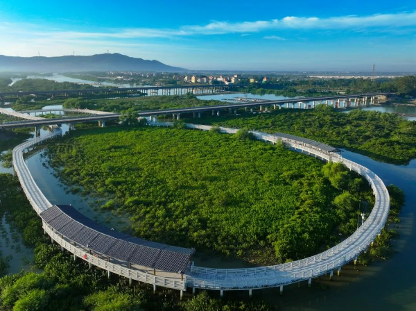 月亮灣——沙扒灣——陽江市冼夫人馮盎將軍文化公園——壽長河紅樹林國家濕地公園——大澳漁村