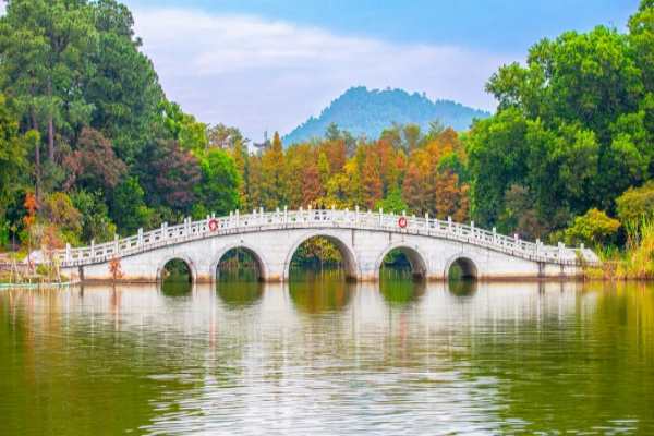 陽江冬日限定浪漫上線